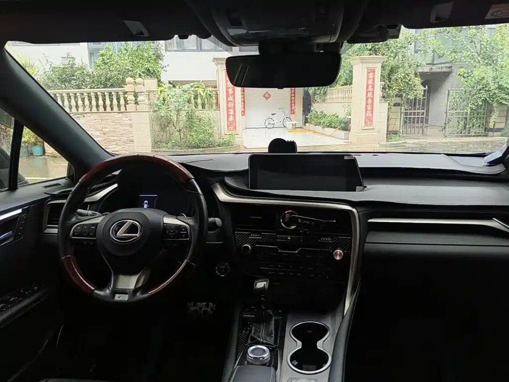 Фото 12 - Lexus RX
