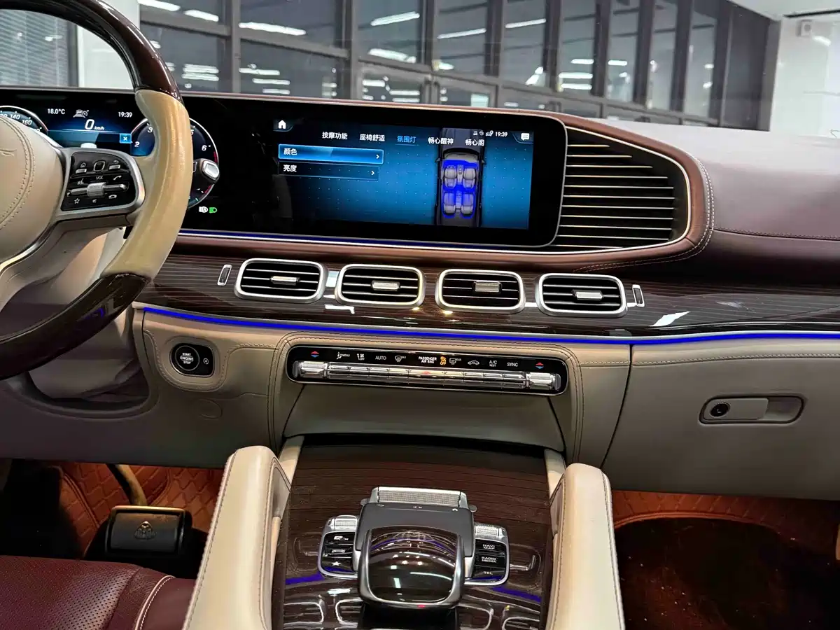 Mercedes-Benz Maybach GLS 2021 GLS 480 4MATIC фото 25