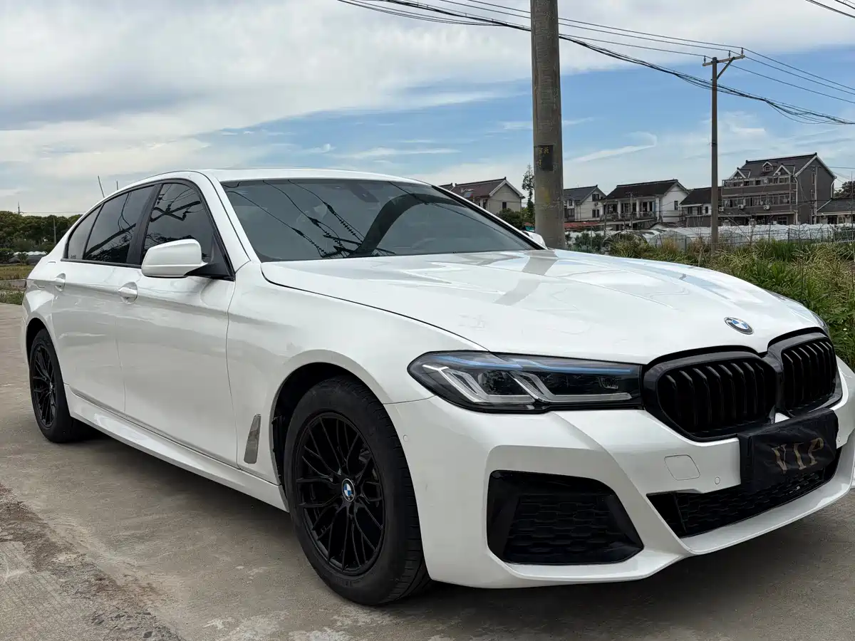 BMW 5 Series 2011 520Li Elegance фото 3