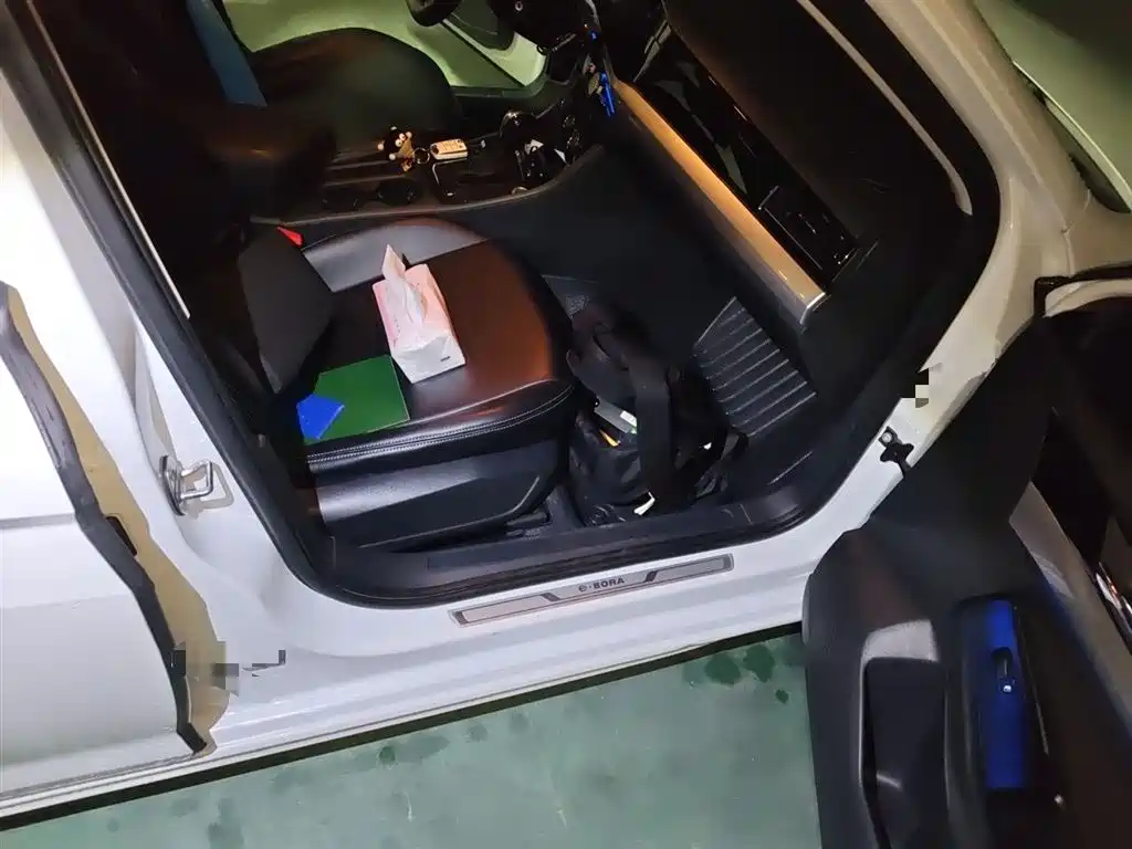 Volkswagen Bora Pure Electric 2020 Model Shang фото 20