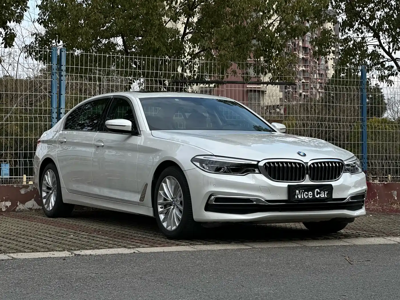 BMW 5 Series 2020 530Li Leading Luxury Package фото 3