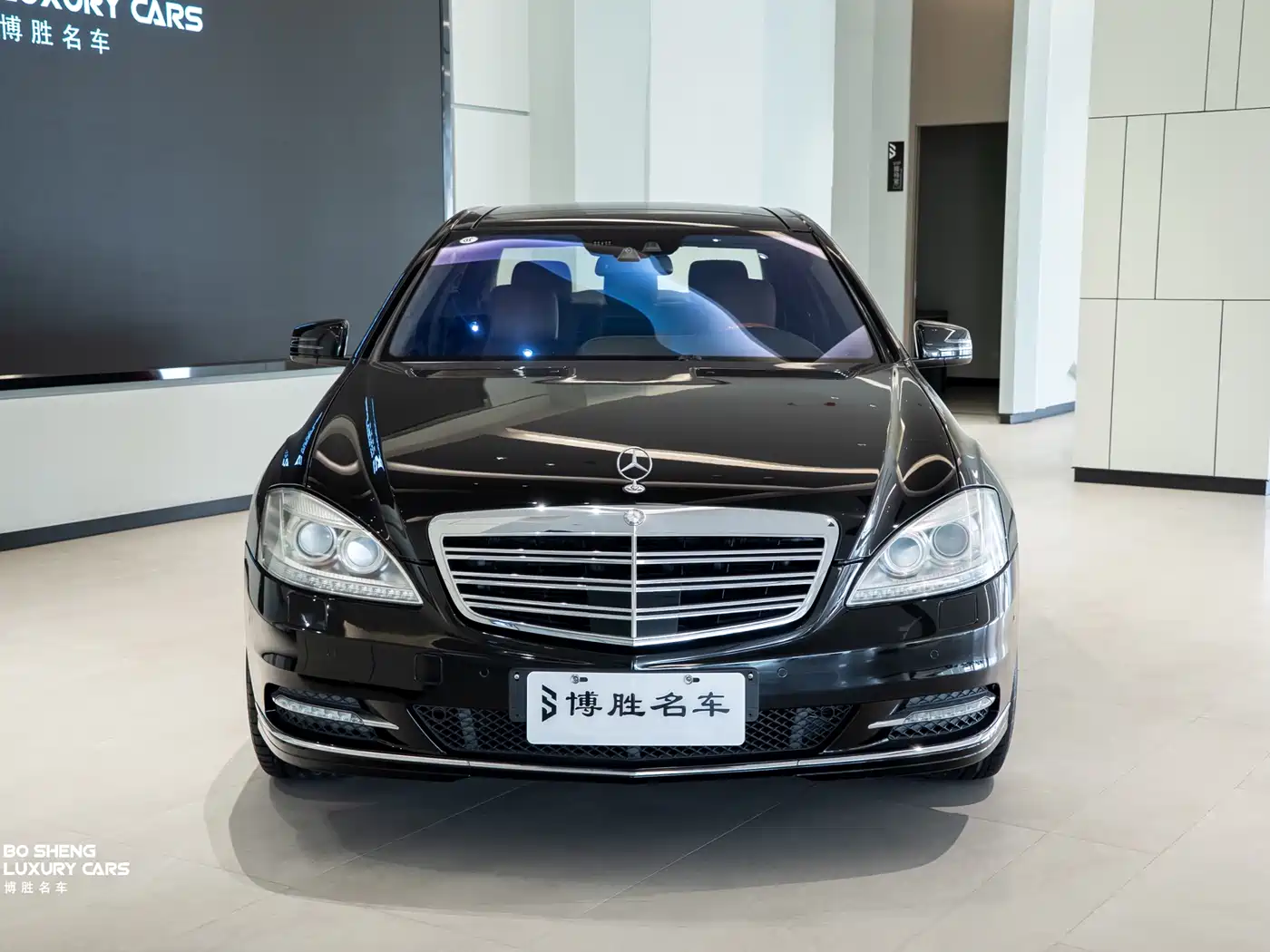 Mercedes-Benz S-Class 2010 S 600 L фото 4