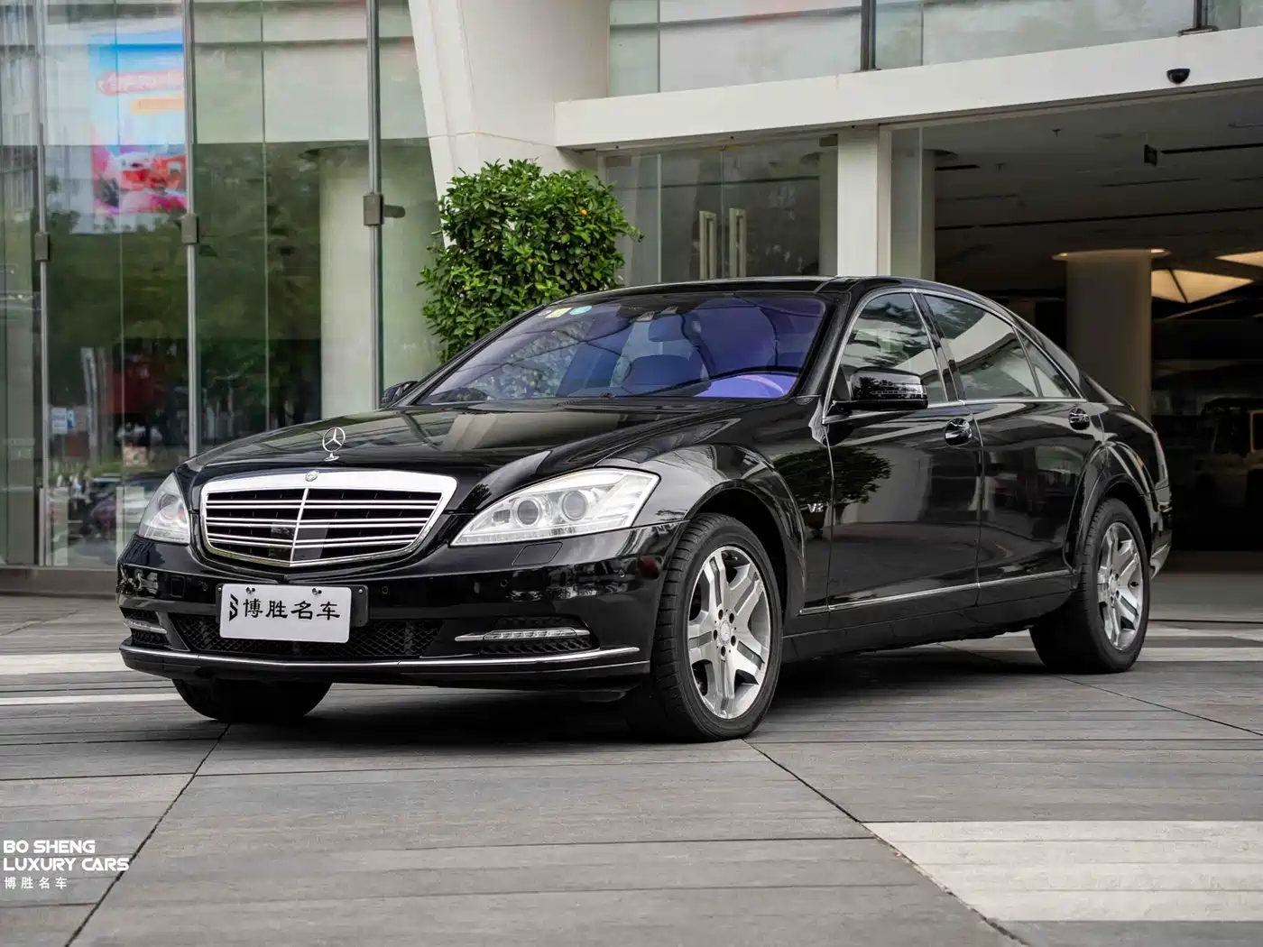 Mercedes-Benz S-Class 2010 S 600 L фото 23
