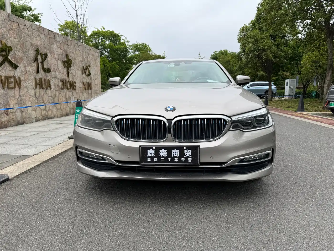 BMW 5 Series New Energy 2019 530Le Luxury Package фото 3
