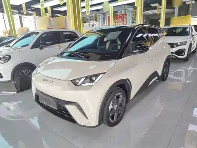 BYD Seagull