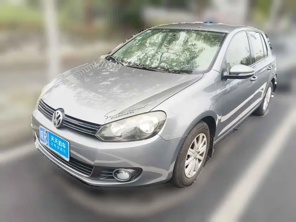 Volkswagen Golf 2010 2010 1.6 Manual Fashion