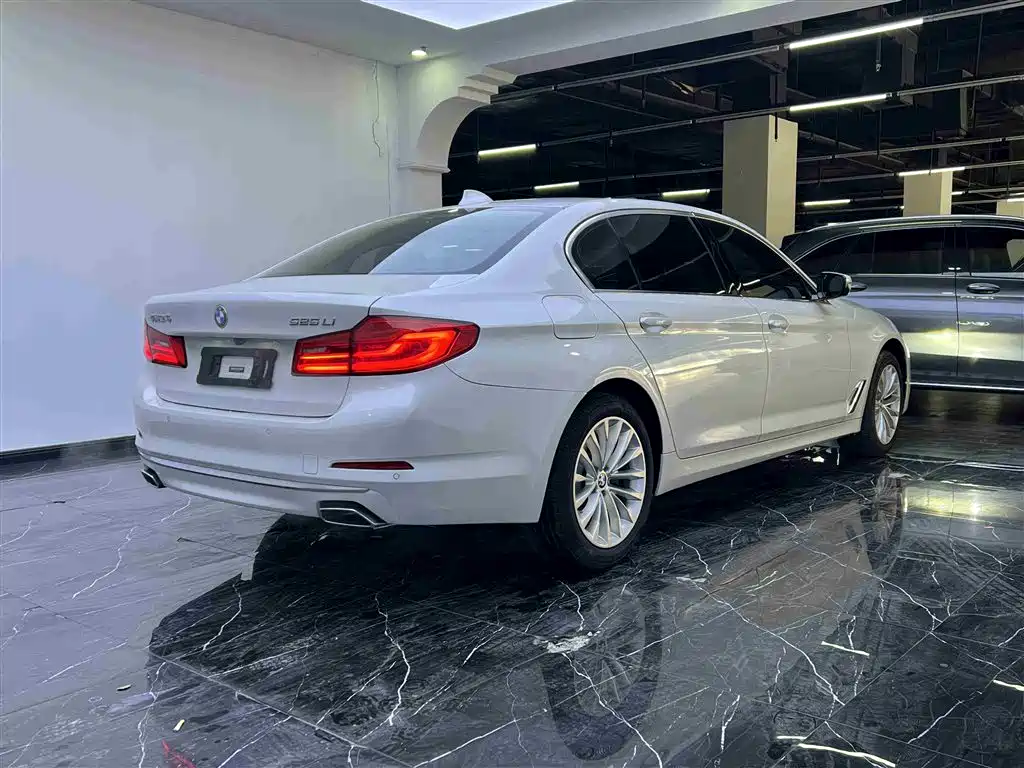 BMW 5 Series 2019 525Li Luxury Package фото 20