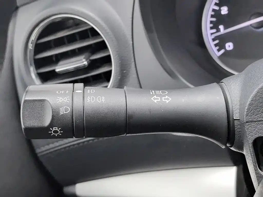 Dongfeng Palasso 2021 2021 1.8T Manual 2WD Elite Edition