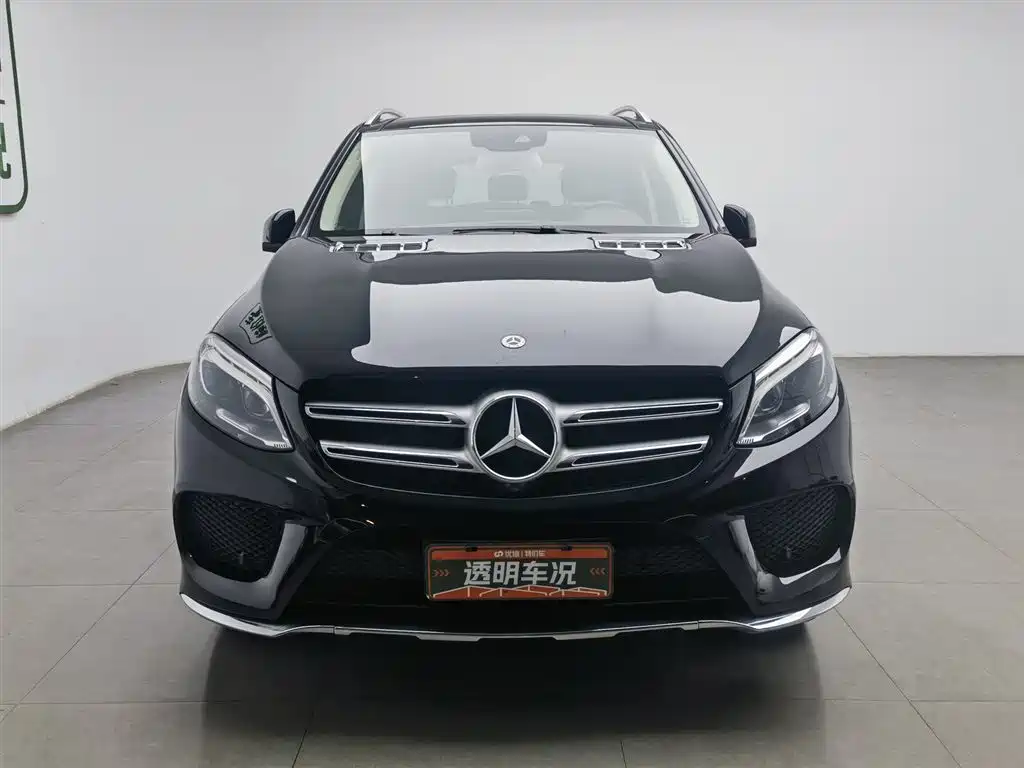 Mercedes-Benz GLE 2019 GLE 400 4MATIC Collector's Edition (Special Configuration) фото 3