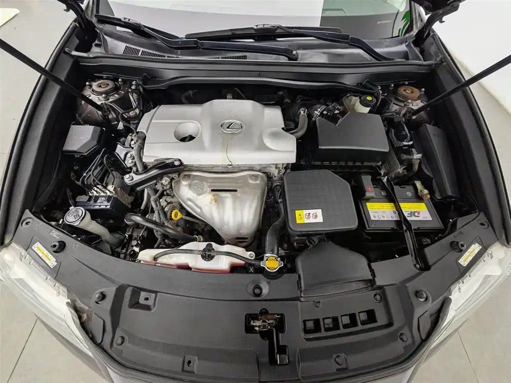 Lexus ES 2013 250 Elite Edition фото 6