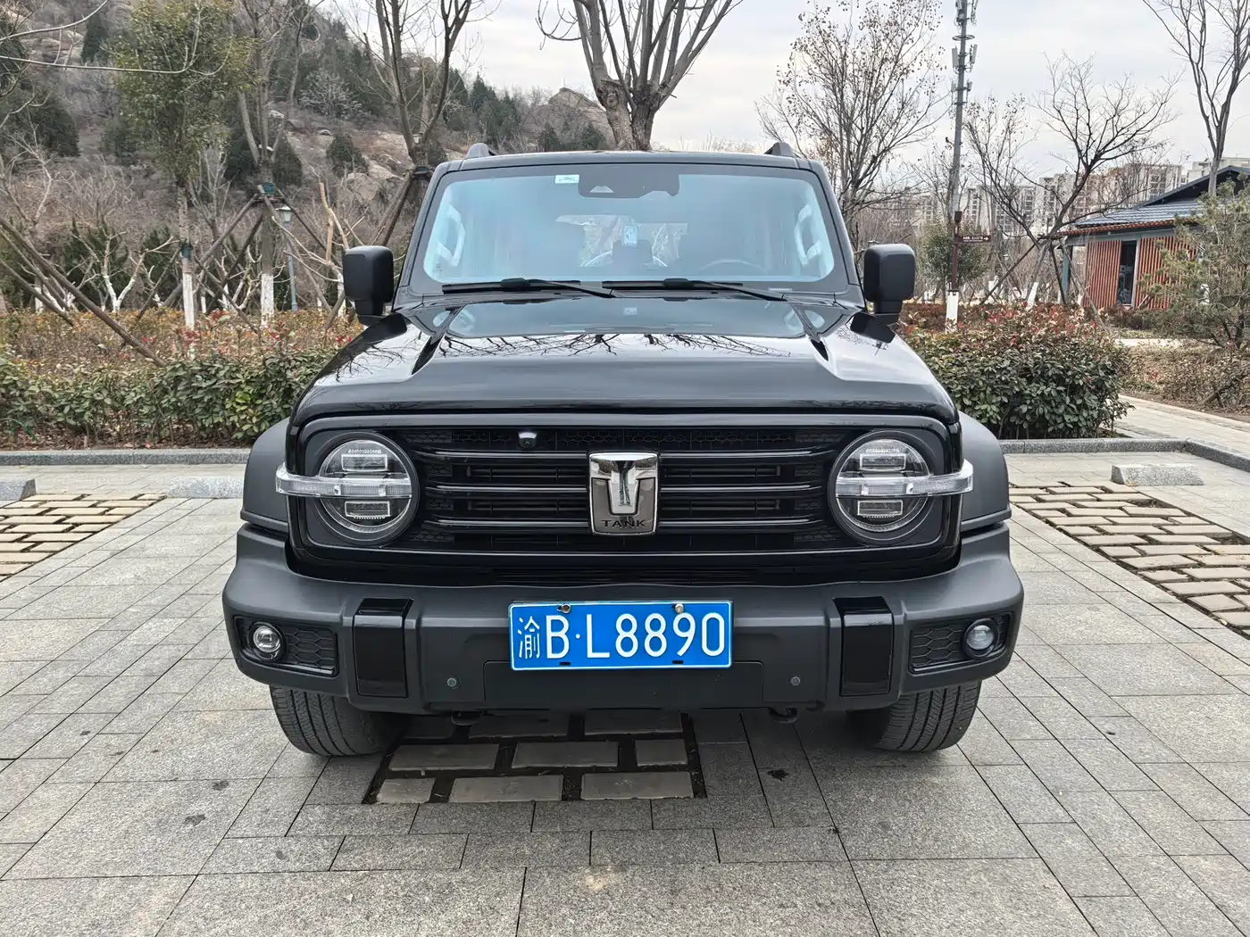 Tank 300 2023 Off-Road Edition 2.0T Conqueror фото 2
