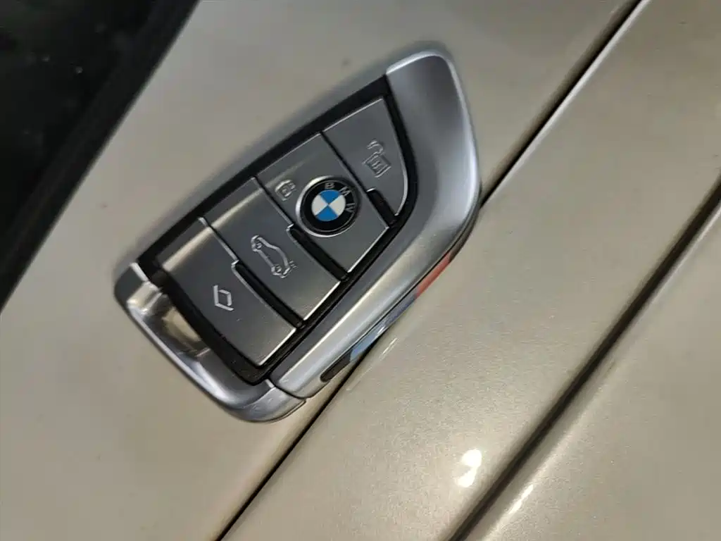 BMW 5 Series 2020 525Li M Sport Package фото 9