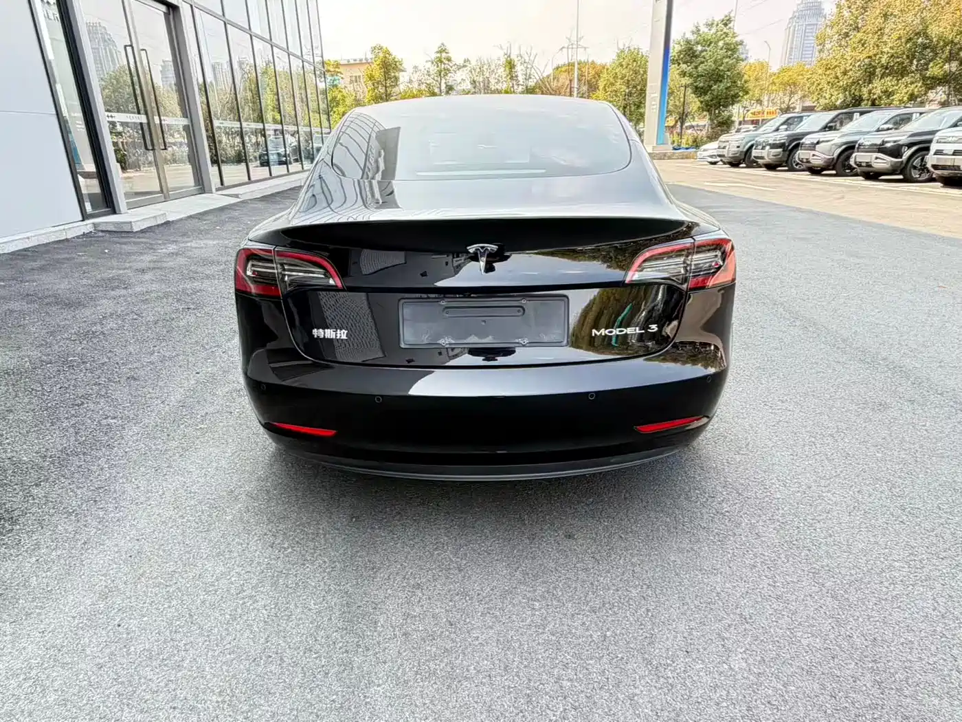 TESLA MODEL 3