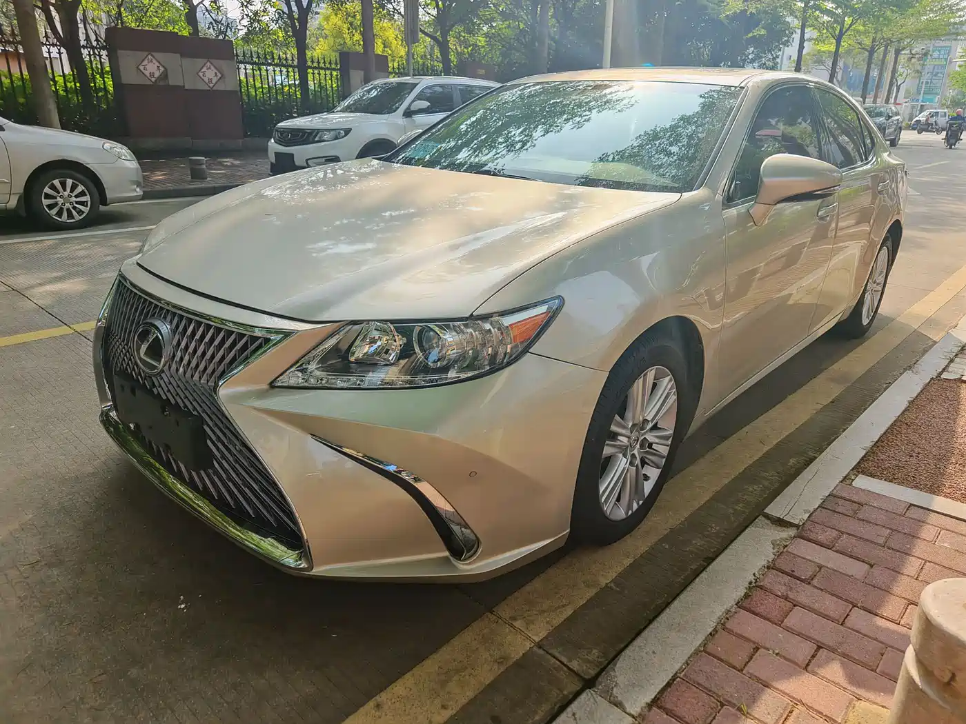 Lexus ES 2013 250 Elite Edition
