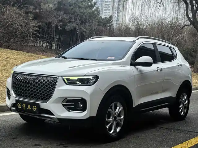 HAVAL H2S