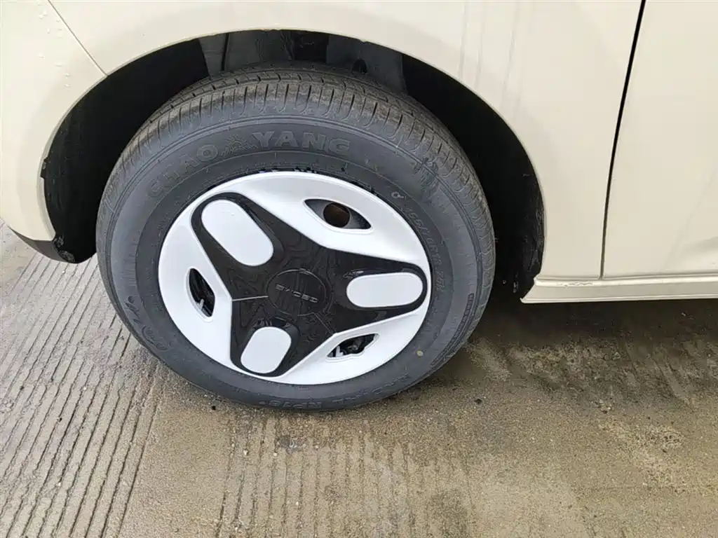 Geely Galaxy Panda 2025 Panda mini 210km Vitality Bear фото 23