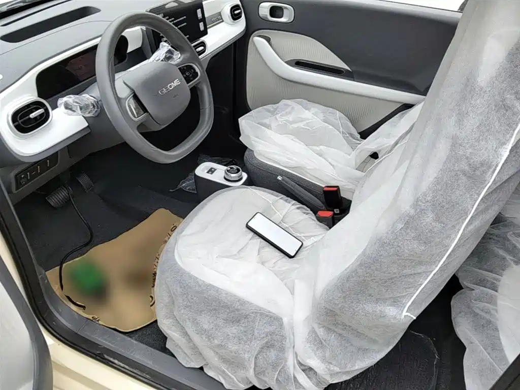 Geely Galaxy Panda 2025 Panda mini 210km Vitality Bear фото 15