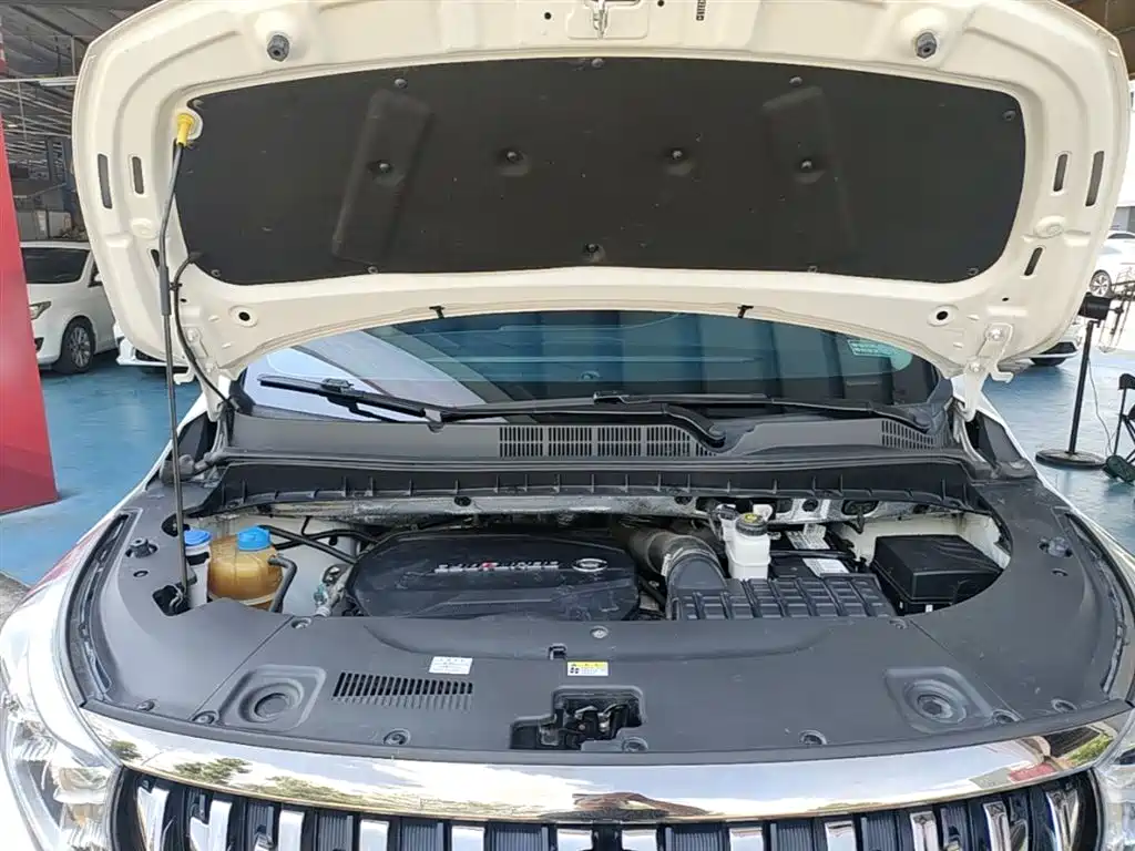 GAC Trumpchi Trumpchi M8 2021 Master Series 390T Ultimate Edition фото 20