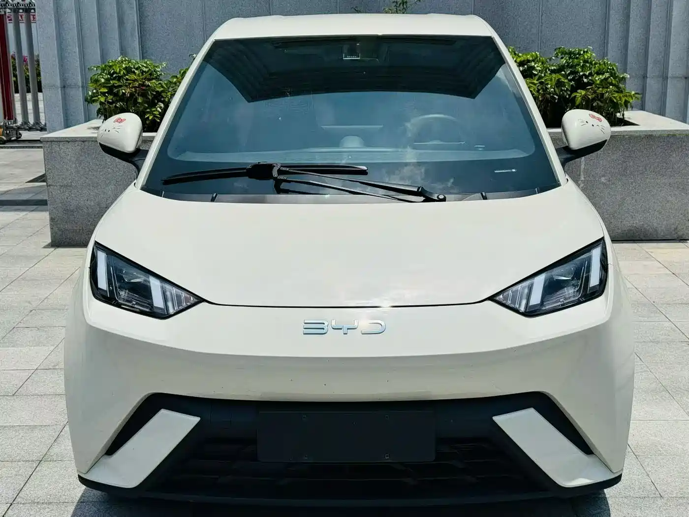 BYD Seagull 2024 Glory Edition 305km Freedom Edition фото 2