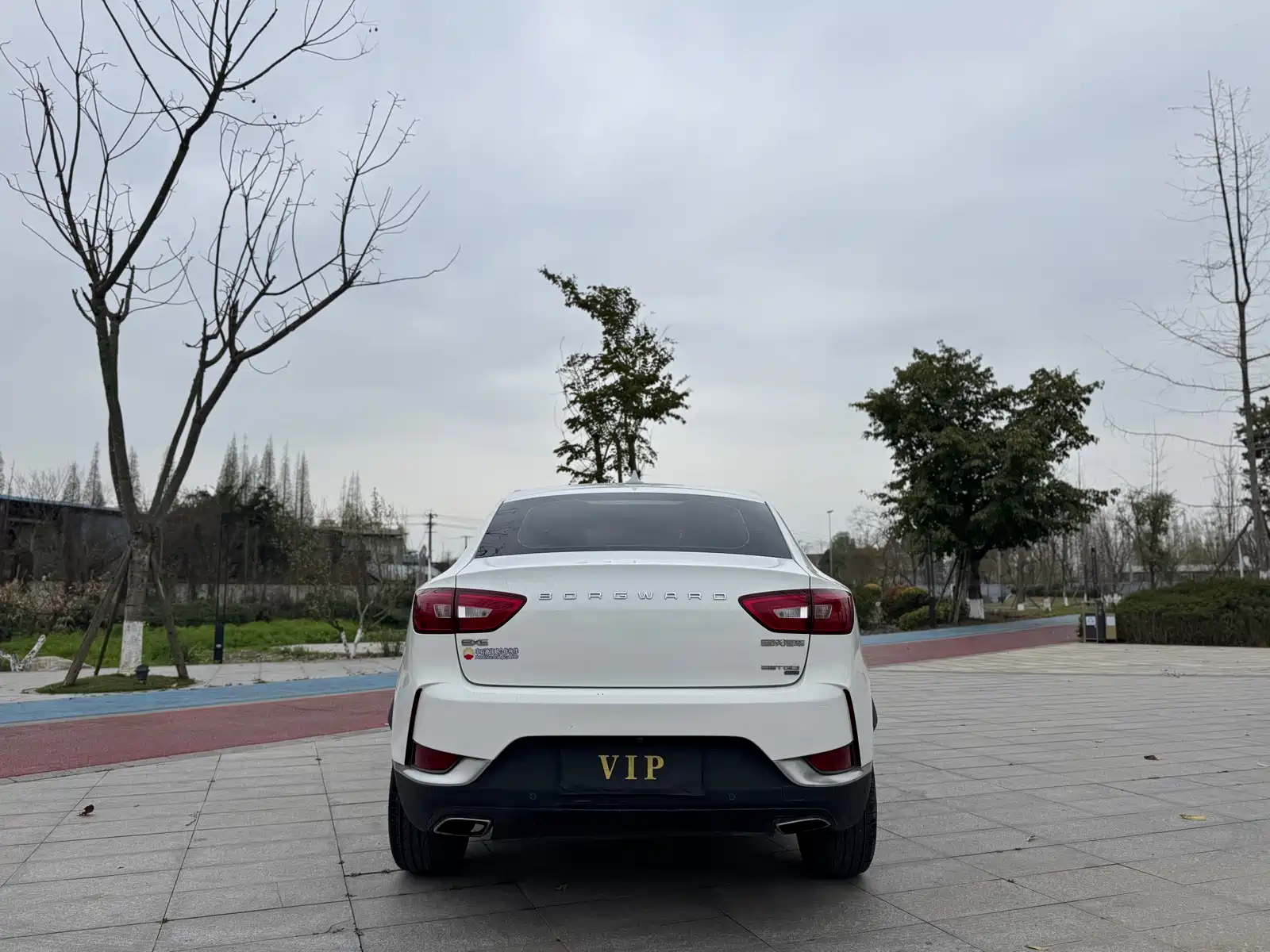 Фото 6 - Borgward BX6