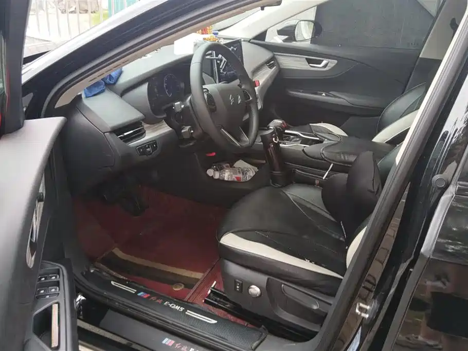 Hongqi E-QM5 2023 620km PLUS фото 9