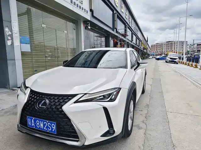  Lexus Lexus UX 2020 260h Explore Fun Edition