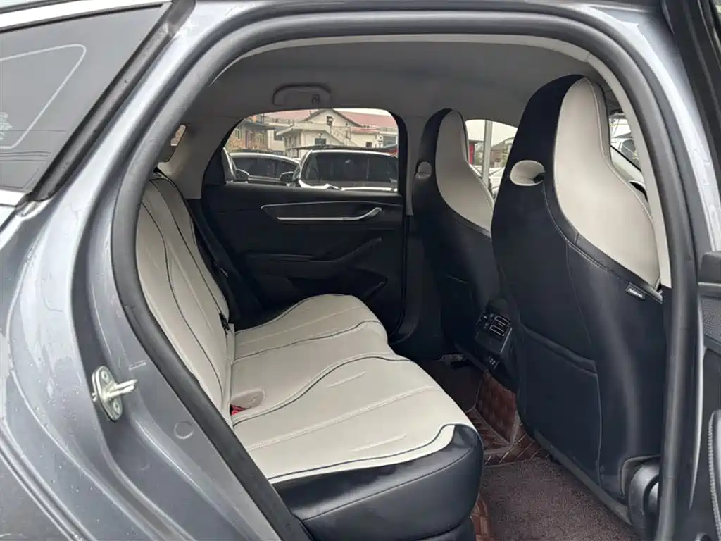 BYD Destroyer 05 2024 Glory Edition DM-i 55KM Luxury фото 11
