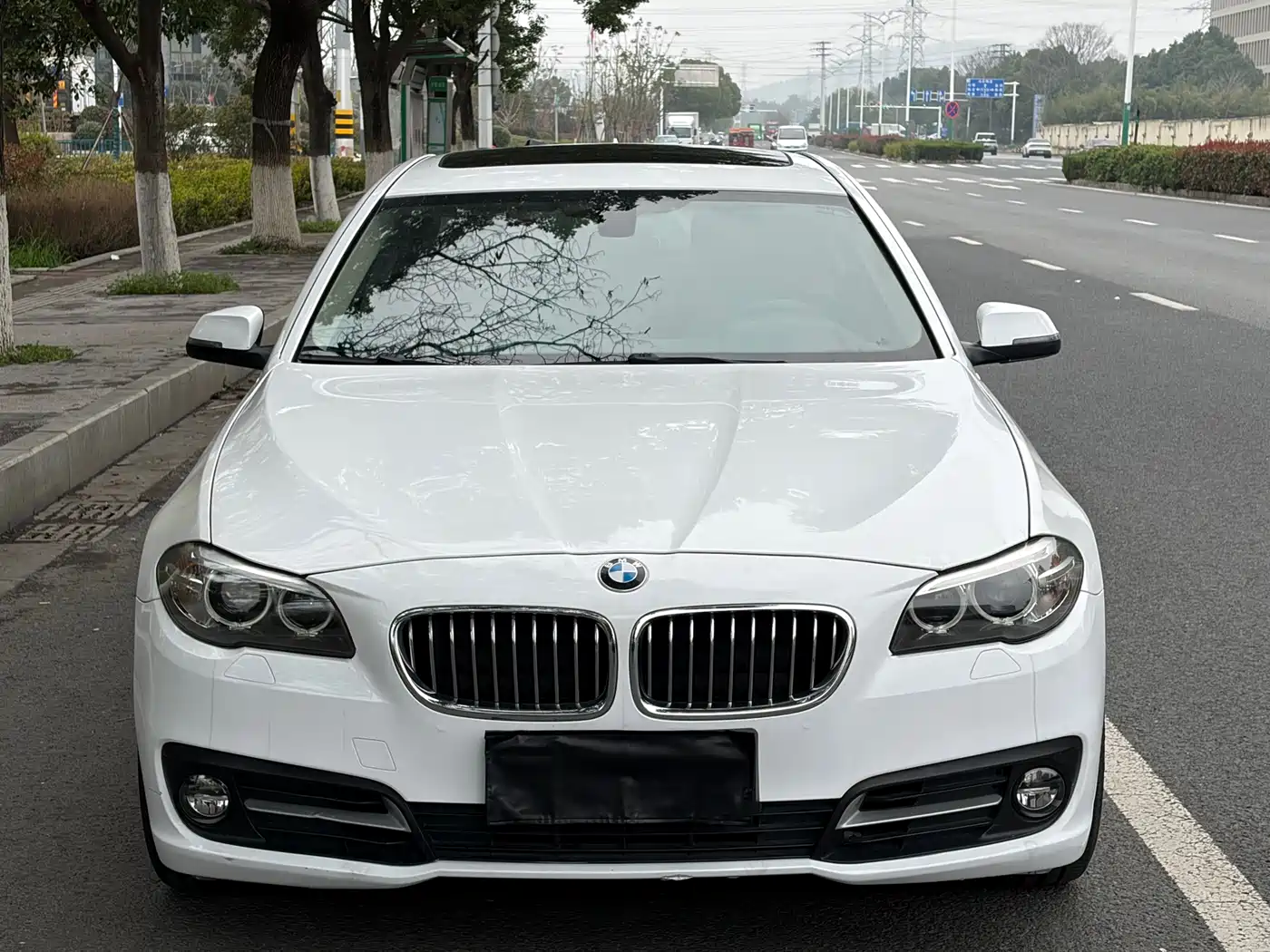 BMW 5 Series 2014 530Li Leading фото 2
