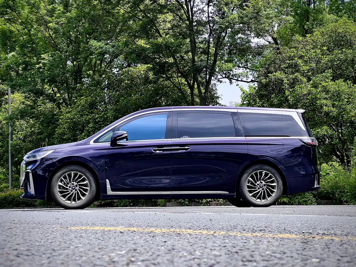 Voyah Auto Voyah Dreamer 2024 PHEV Extended Range Flagship Edition фото 4