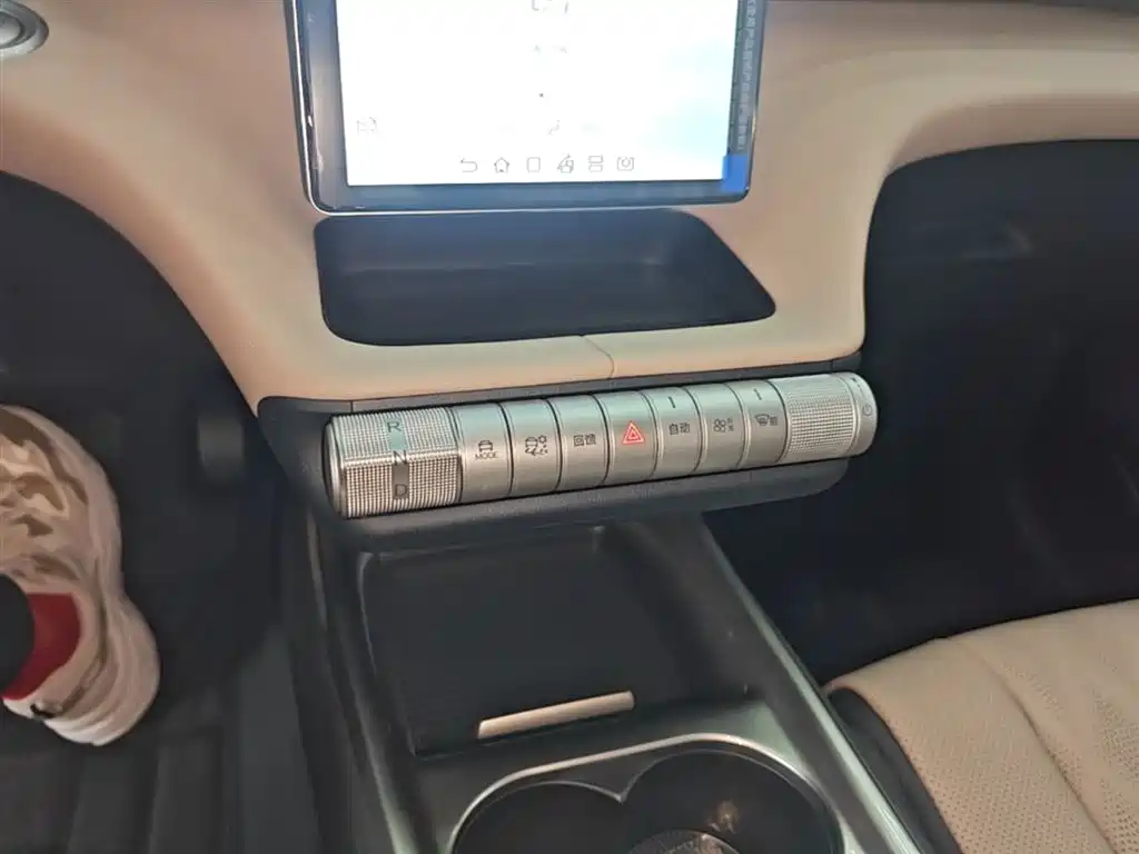 BYD Dolphin 2025 420km Freedom Edition фото 14