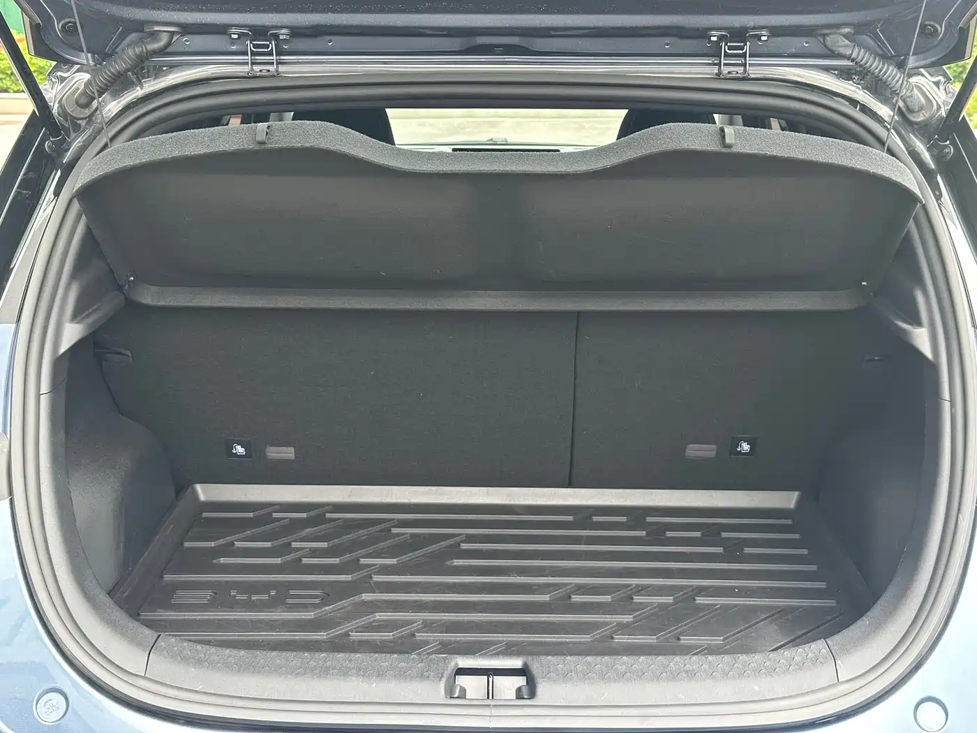 BYD Dolphin 2025 520km Knight Edition фото 13