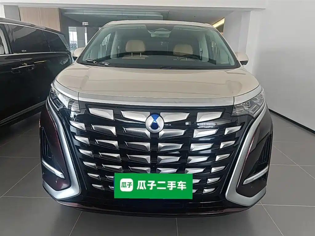 Denza D9 2024 DM-i 980 AWD Prestige фото 3