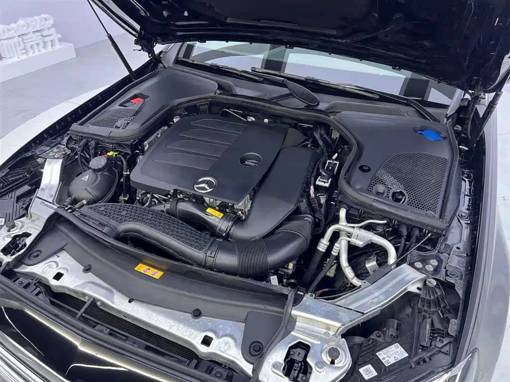 Mercedes-Benz E-Class 2023 Facelift E 300 L Luxury фото 25