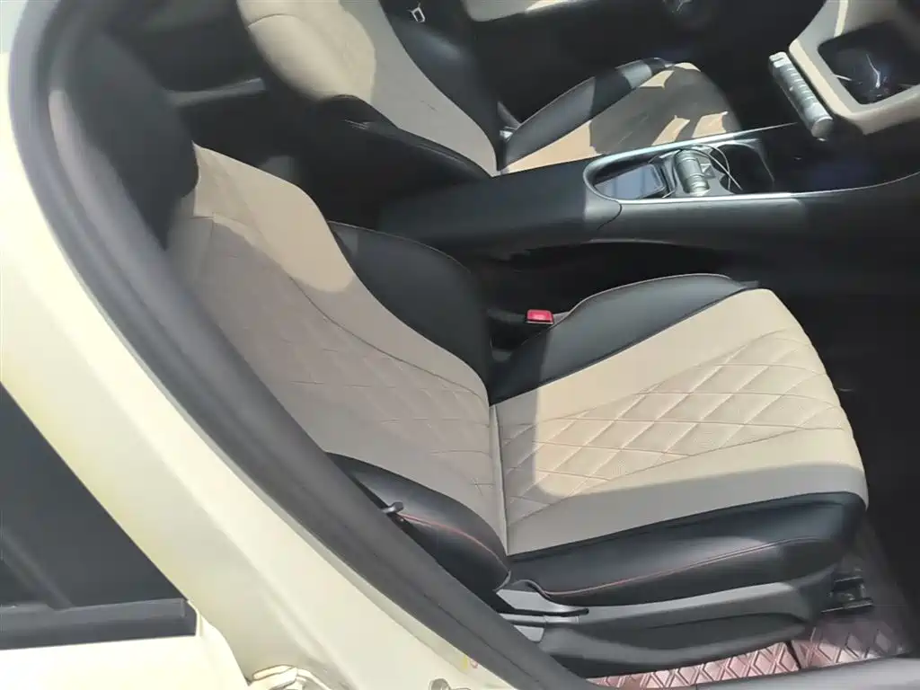 BYD Dolphin 2021 Model 405km Fashion Edition фото 25