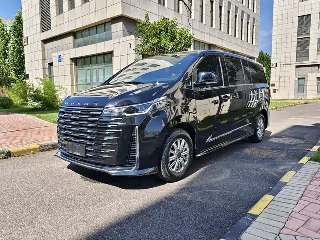 Maxus G10 MAX 2.0T, Люкс, автомат, бензин, 7 мест
