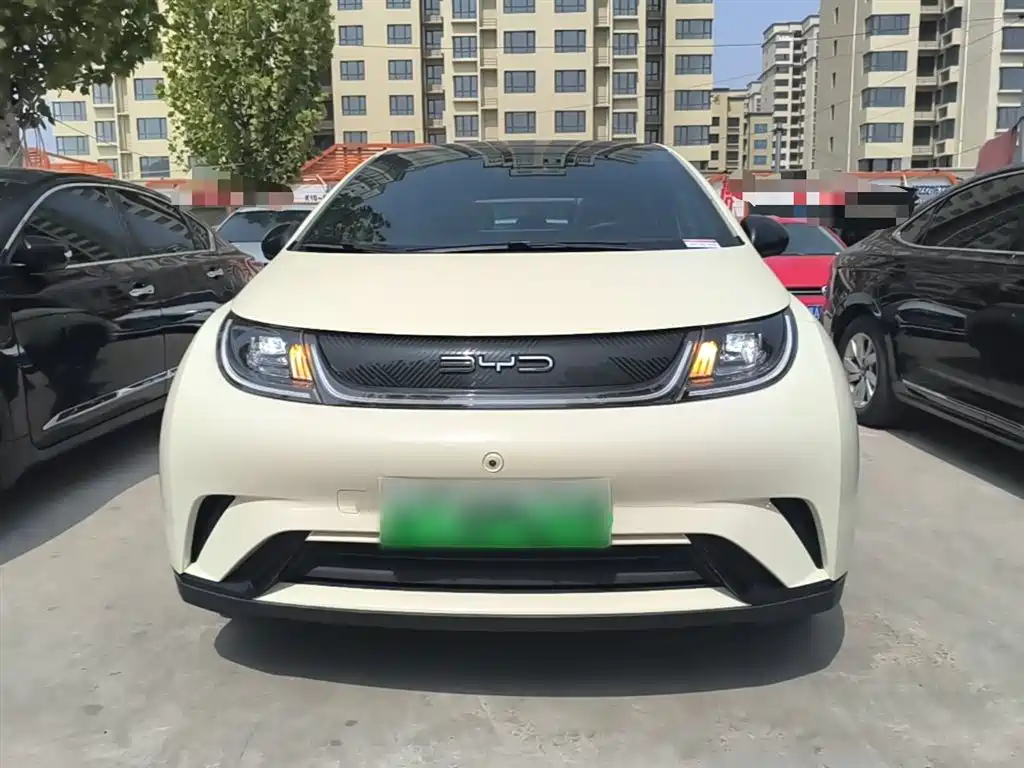 BYD Dolphin 2021 Model 405km Fashion Edition фото 3