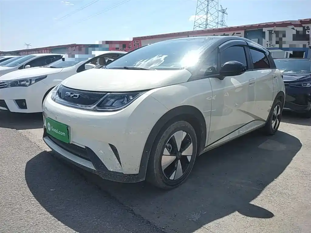 BYD Dolphin 2023 420km Freedom Edition фото 2