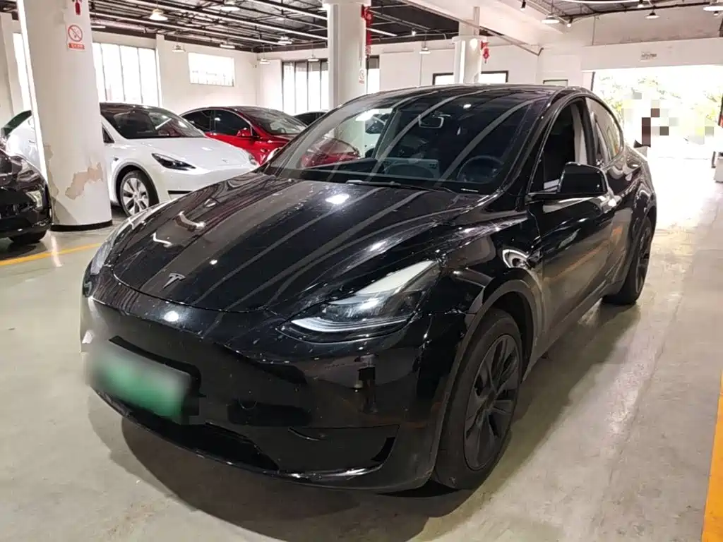Tesla Model Y 2024 Rear-Wheel Drive Version
