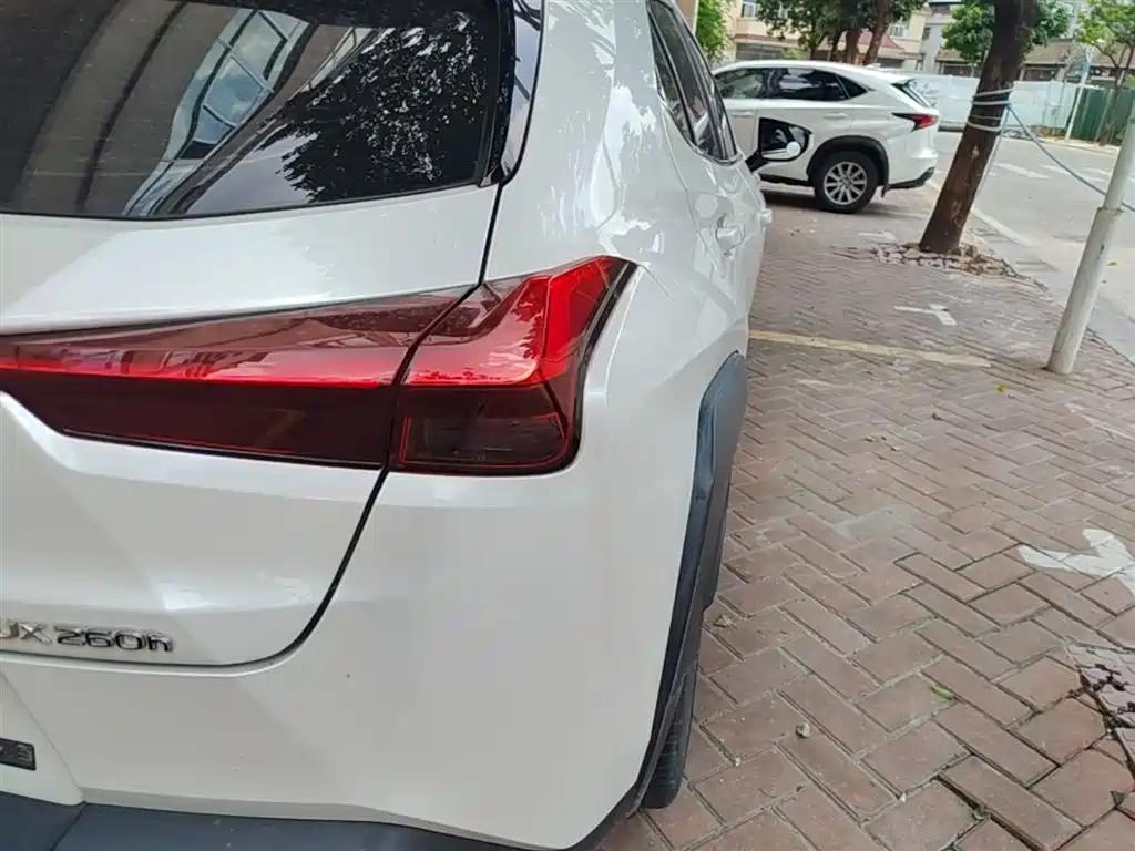 Lexus UX 2019 260h Explorer Cool Edition (China V) фото 8