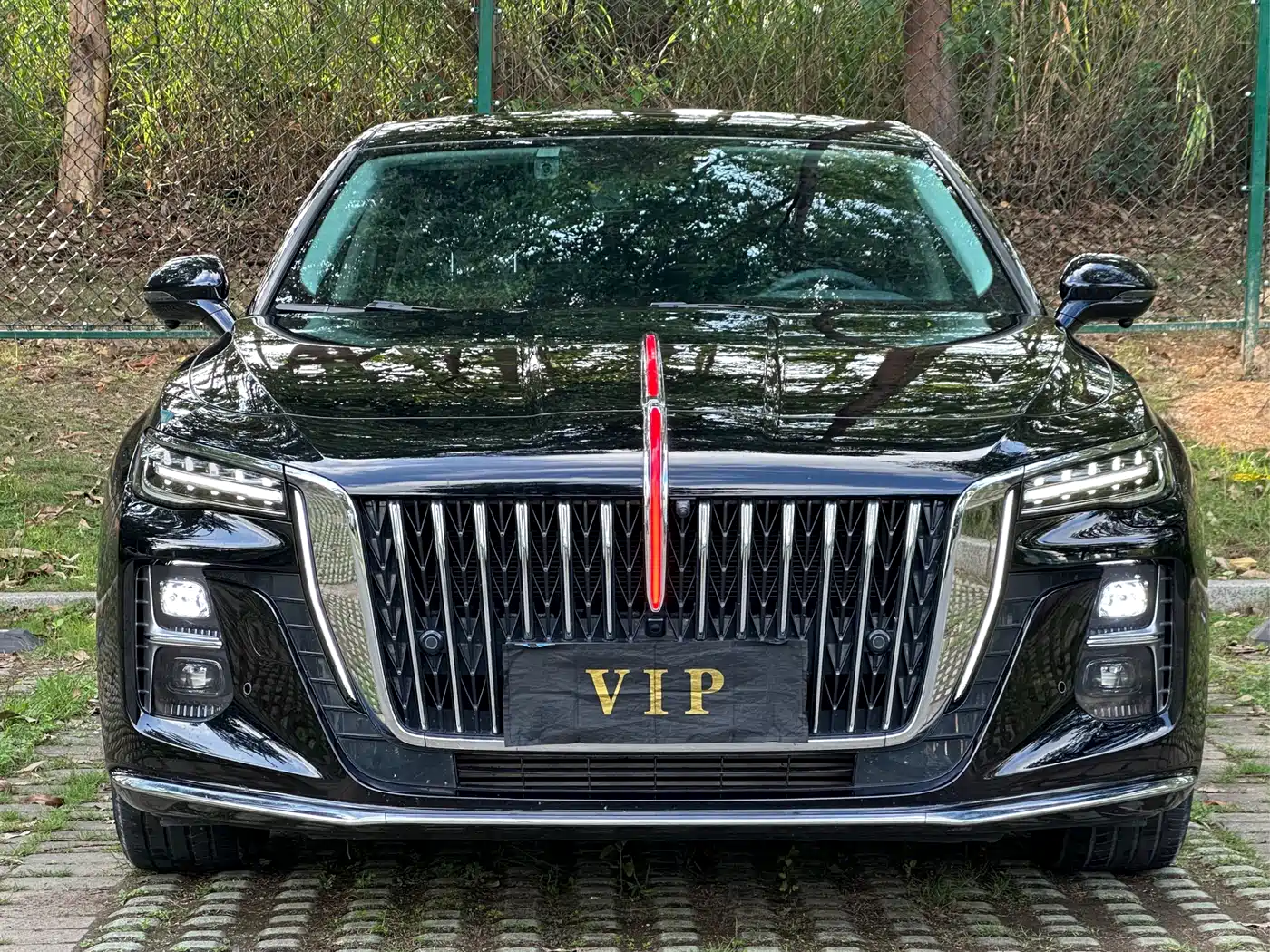 Hongqi H5 2024 1.5T DCT Smart Connect Flag Rhythm Edition фото 2