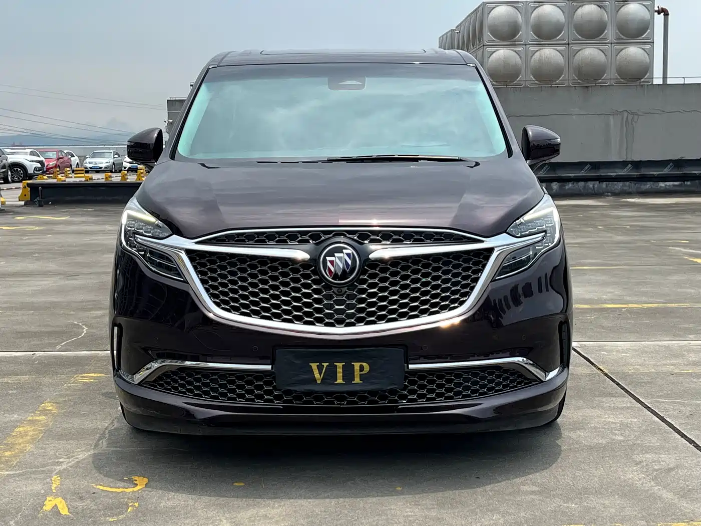 Buick GL8 2020 Avenir Six-Seat Elegance Edition фото 2