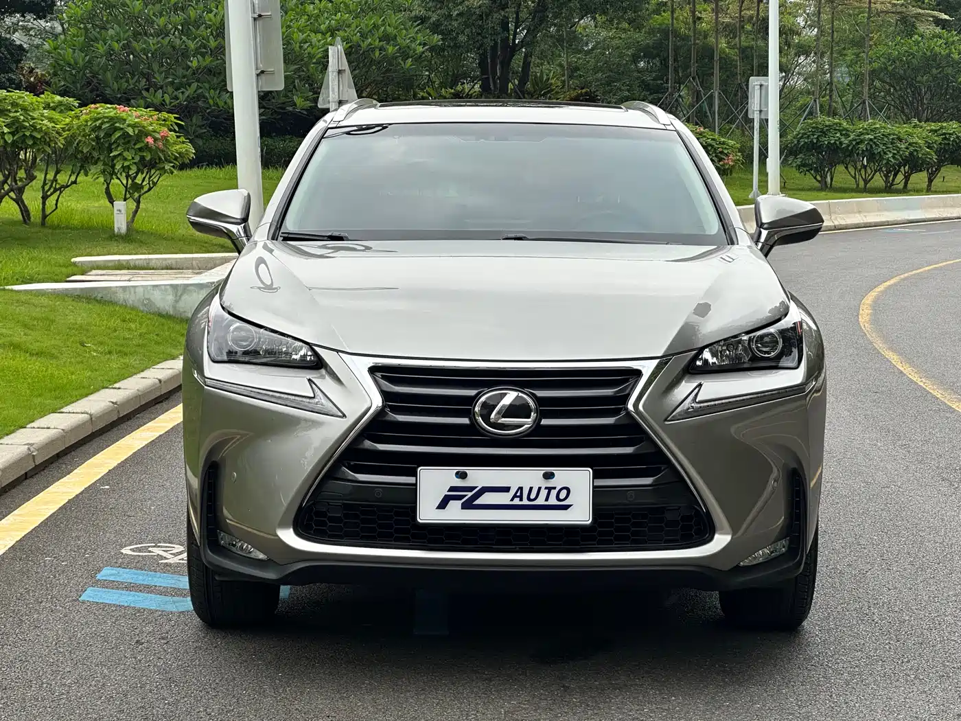 Lexus NX 2016 200 AWD F Sport фото 2