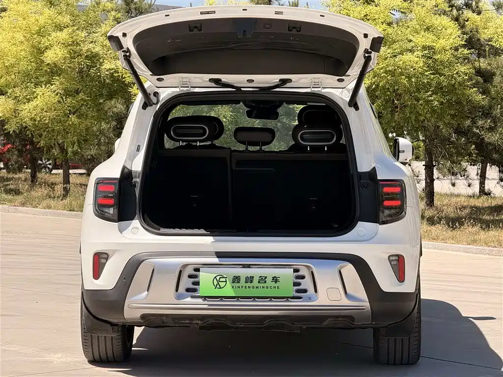 smart Genie #5 2024 Long Range Adventure Luxury Edition фото 28
