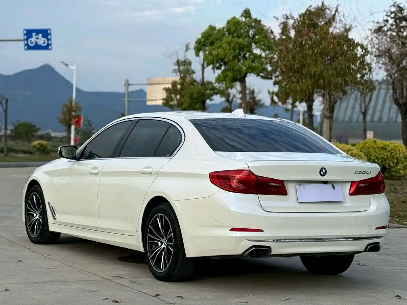 BMW 5 Series 2020 530Li Premium Luxury Package фото 4