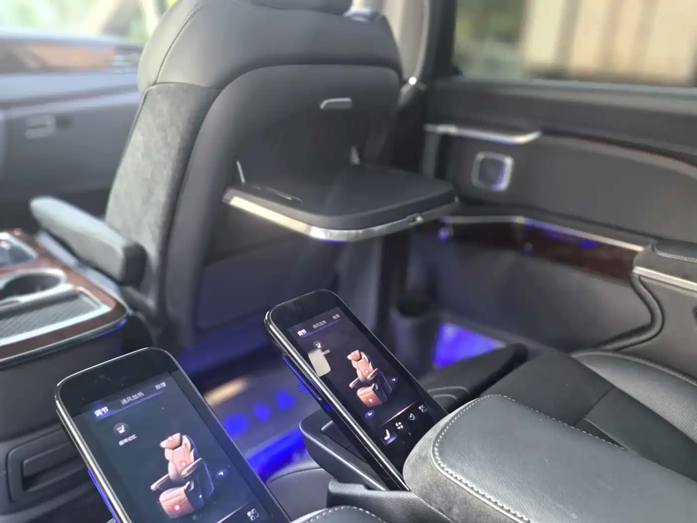 Hongqi HQ9 PHEV 2024 Model 2.0T AWD Luxury Edition фото 19