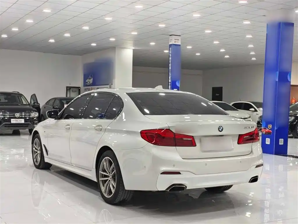 BMW 5 Series 2019 525Li M Sport Package фото 5