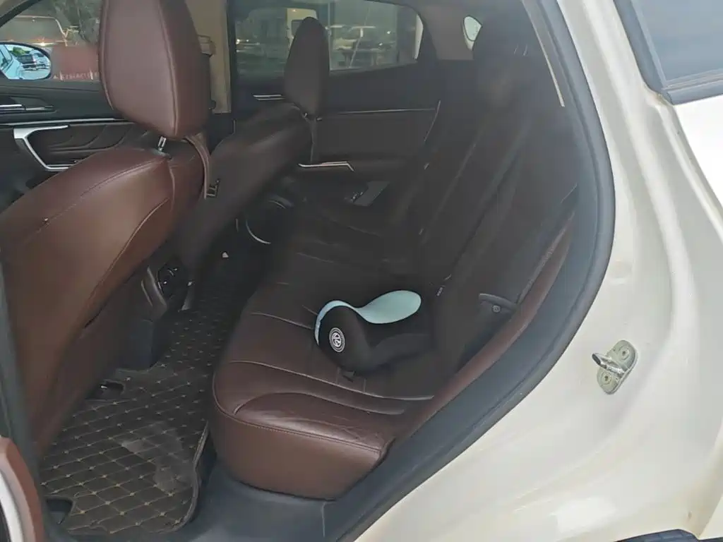 WEY VV5 2017 2017 2.0T Flagship Model