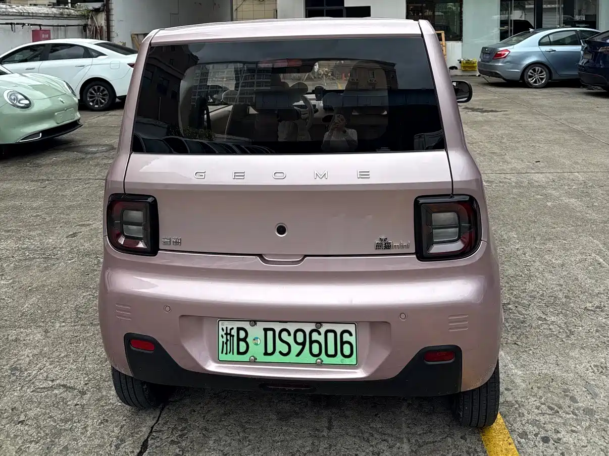 Photo 4 - Geely Galaxy Panda