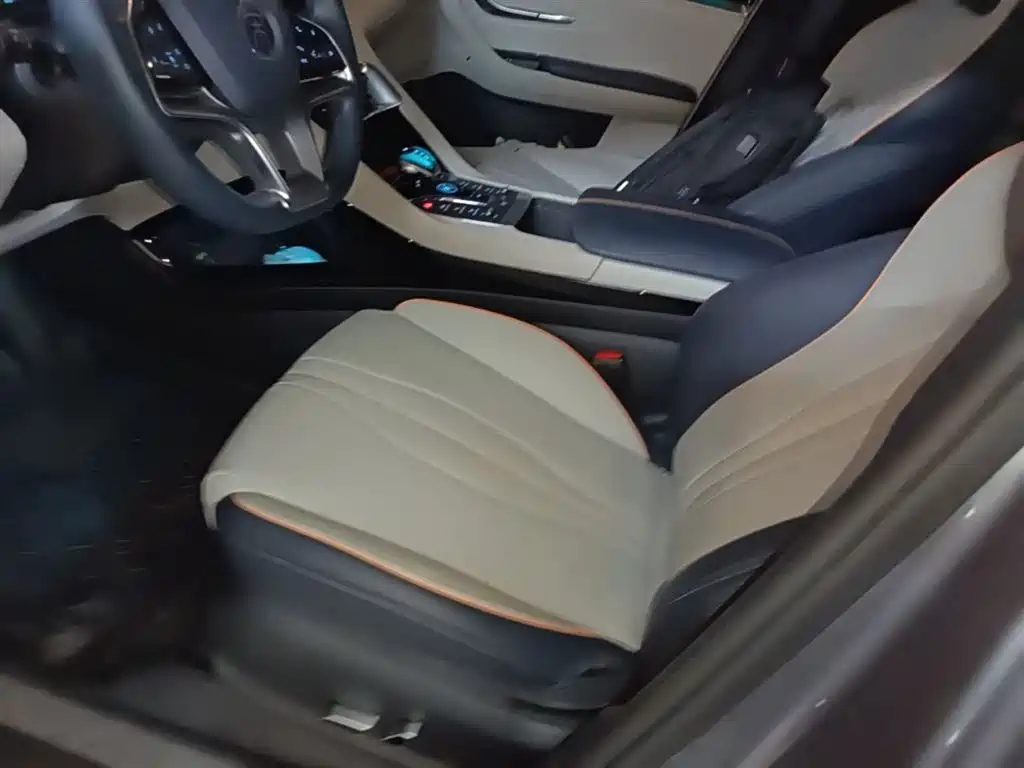 BYD Song PLUS PHEV 2021 DM-i 110KM Flagship PLUS фото 15