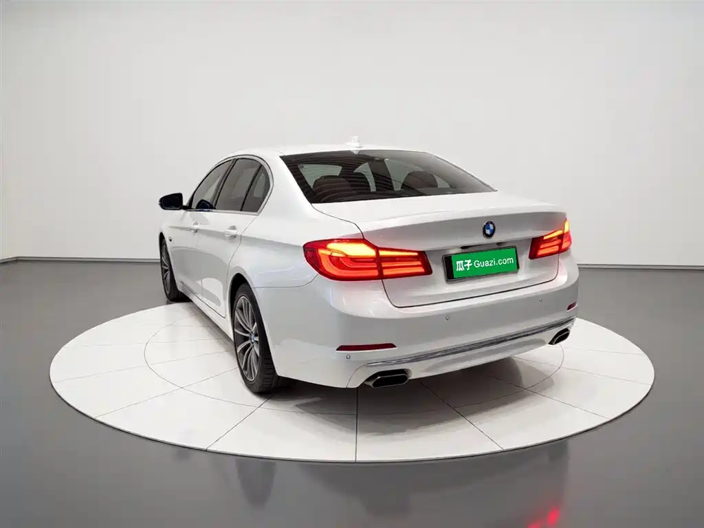 BMW 5 Series 2020 530Li Premium Luxury Package фото 5
